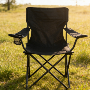 (Set of Two) Portable Folding Picnic Chairs with Carrying Bag